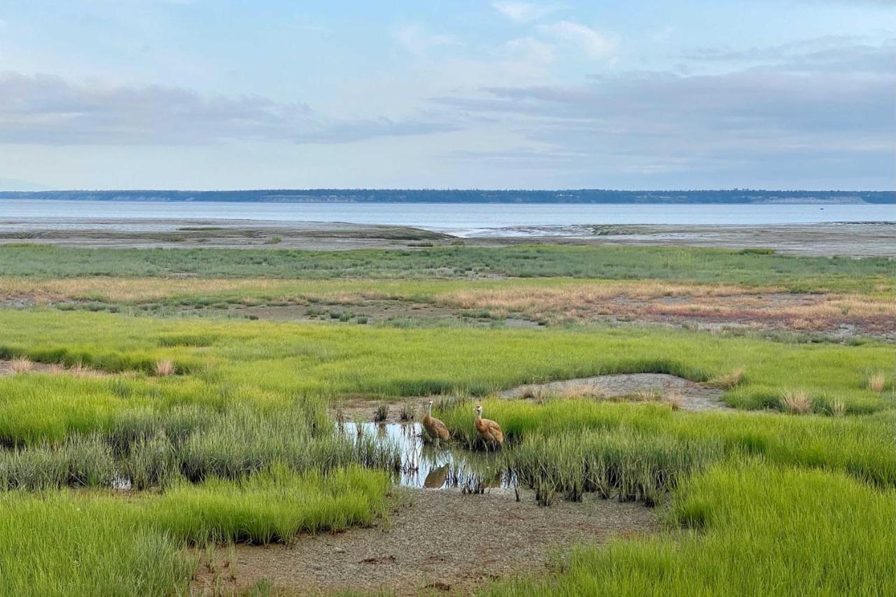 Alluring Anchorage Apt - Walk To Coastal Trl! Exteriör bild
